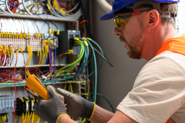 Best Electric Panel Repair  in Selbyville, DE